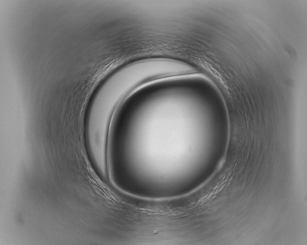 X0000116020673200911201235
