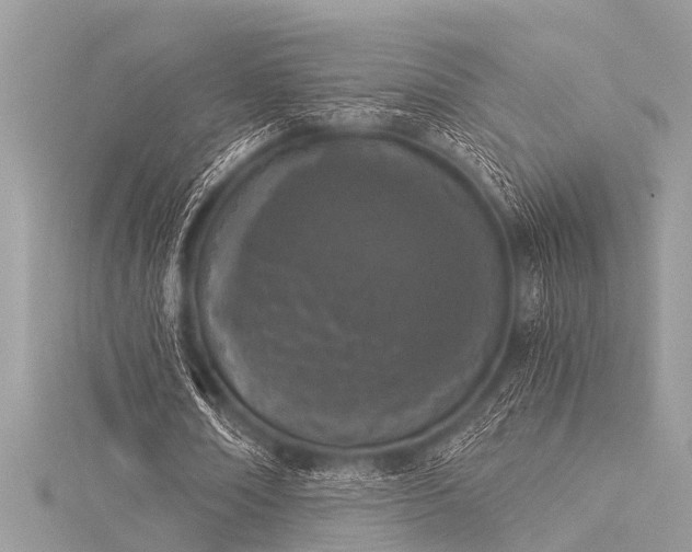 X0000116020674200911201235