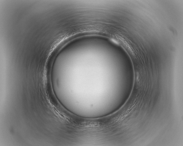 X0000116020676200911201235