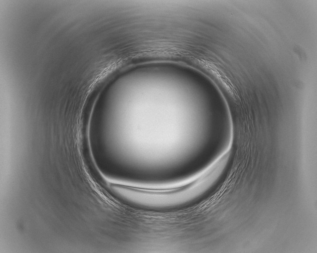 X0000116020677200911201235