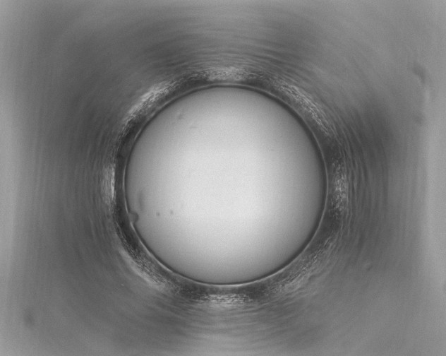 X0000116020686200911201235