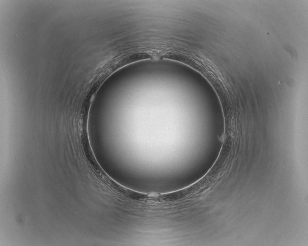 X0000116020697200911201234