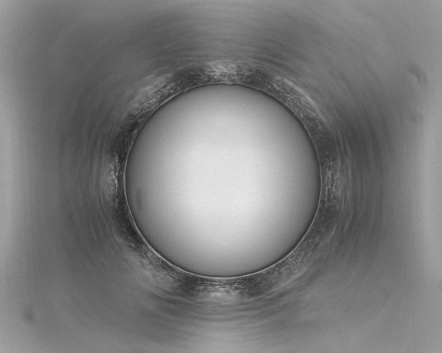 X0000116020702200911201234