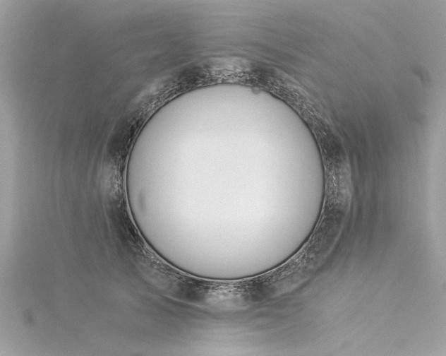 X0000116020705200911201234