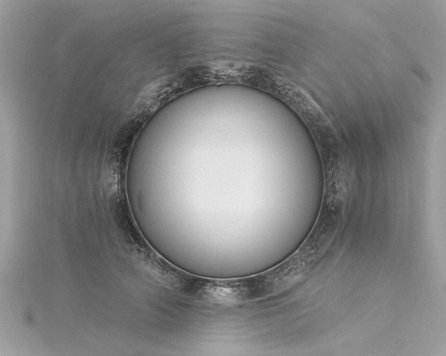X0000116020706200911201234