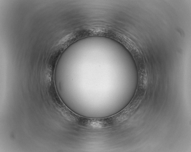 X0000116020710200911201234