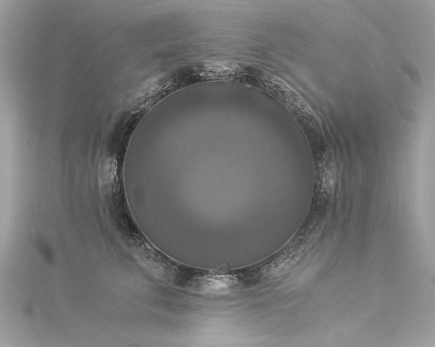 X0000116020711200911201234