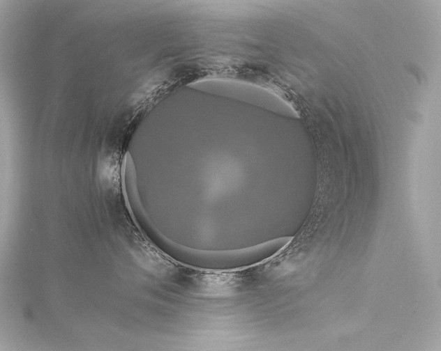 X0000116020720200911201234