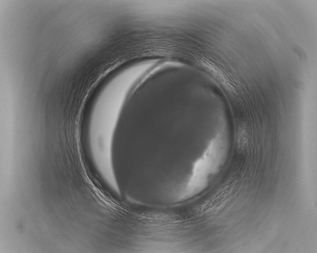 X0000116020722200911201234