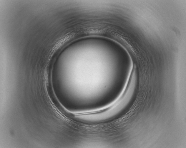 X0000116020725200911201234