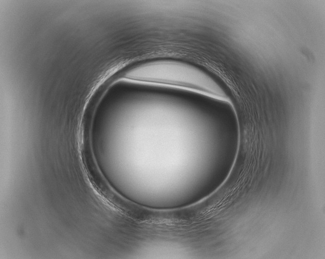 X0000116020726200911201234