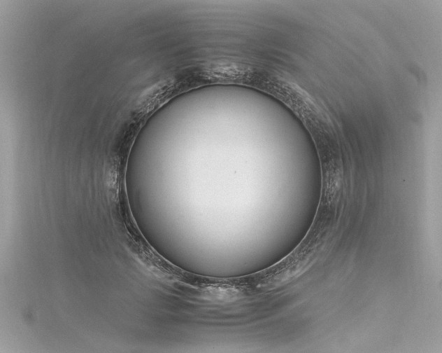X0000116020749200911201234
