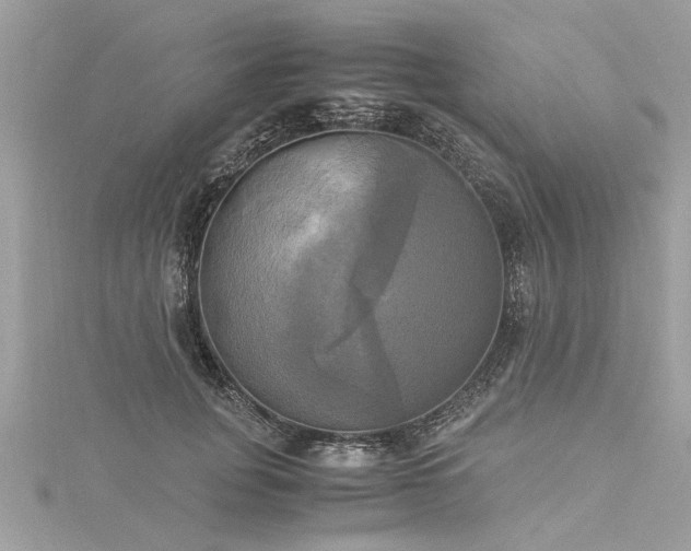 X0000116020751200911201234