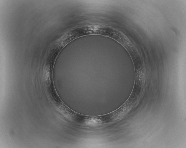 X0000116020754200911201234