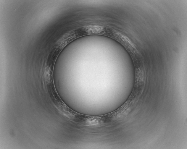 X0000116020761200911201234