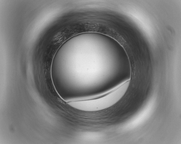 X0000116020766200911201234