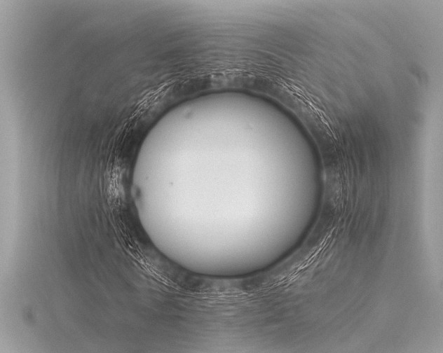 X0000116020770200911201234