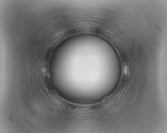 X0000116020771200911201234