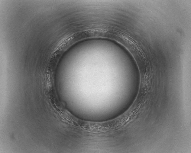 X0000116020774200911201233