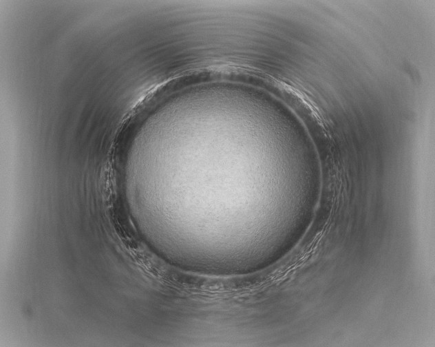 X0000116020776200911201233