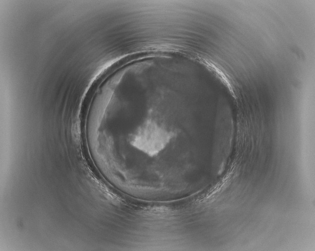 X0000116020784200911201233