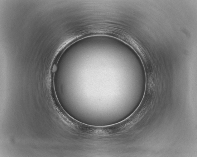 X0000116020787200911201233
