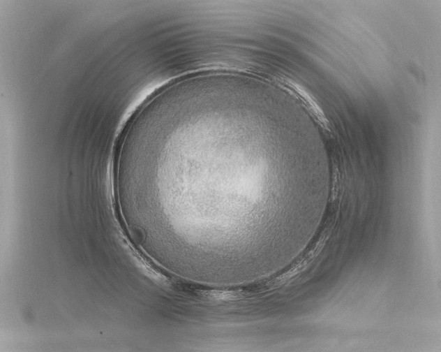 X0000116020796200911201233