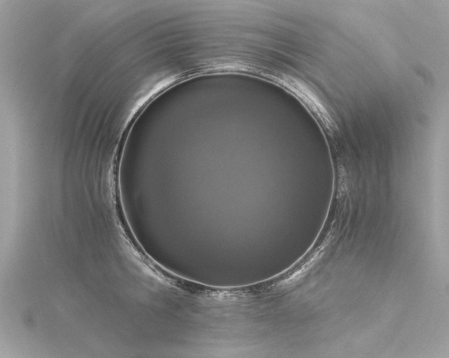 X0000116020806200911201233