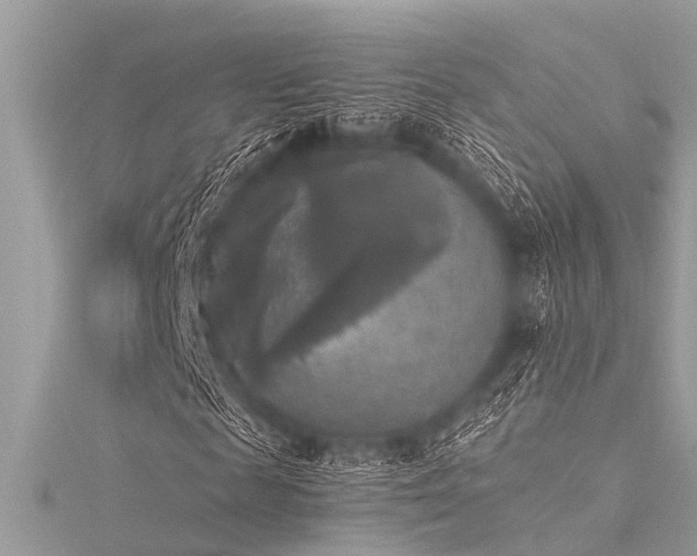 X0000116020817200911201232