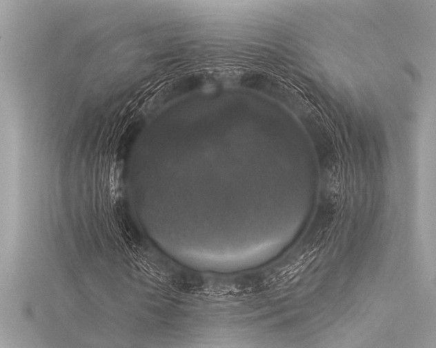 X0000116020818200911201232