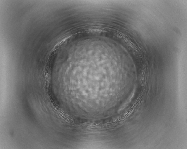 X0000116020821200911201232