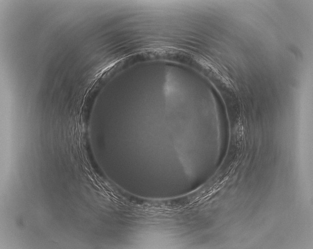 X0000116020822200911201232