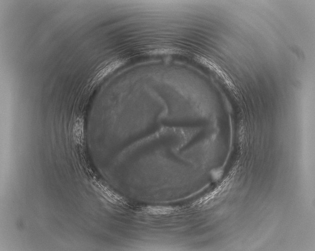 X0000116020825200911201232