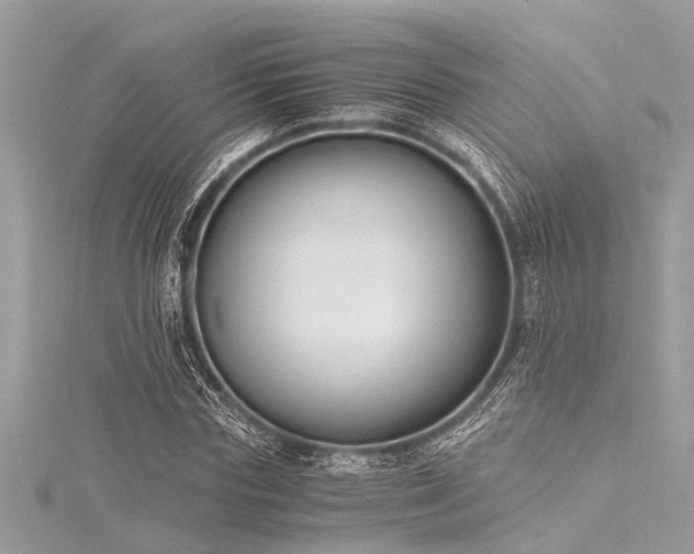 X0000116020827200911201232