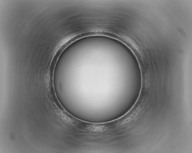 X0000116020831200911201233