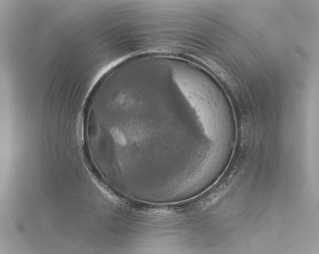 X0000116020838200911201233
