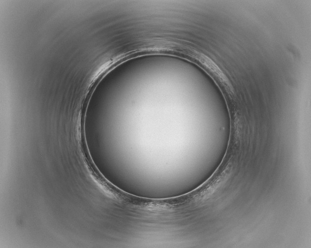 X0000116020842200911201233
