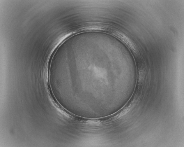 X0000116020844200911201233