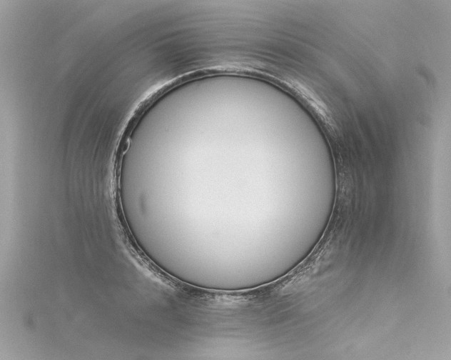 X0000116020848200911201233