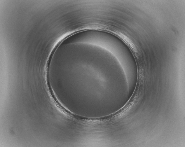 X0000116020854200911201233