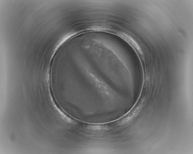 X0000116020855200911201233