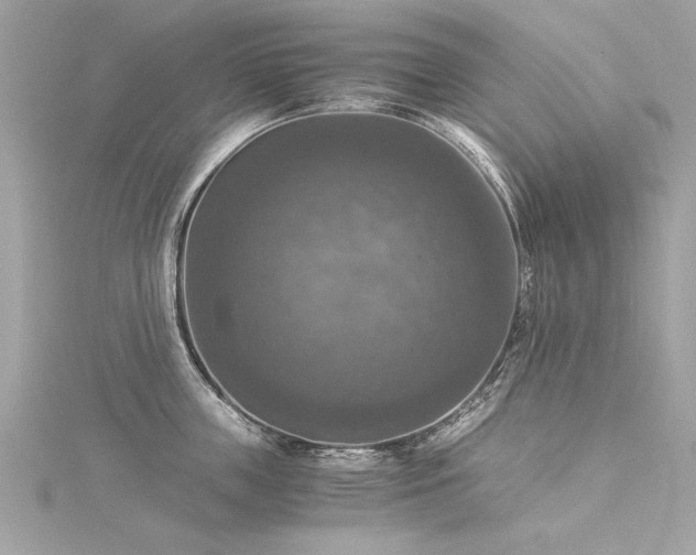 X0000116020859200911201233