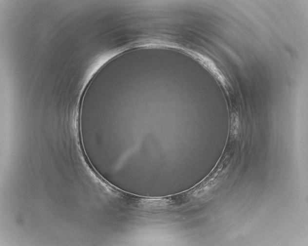 X0000116020863200911201233