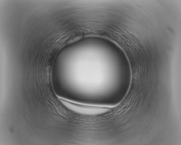 X0000116020868200911201232