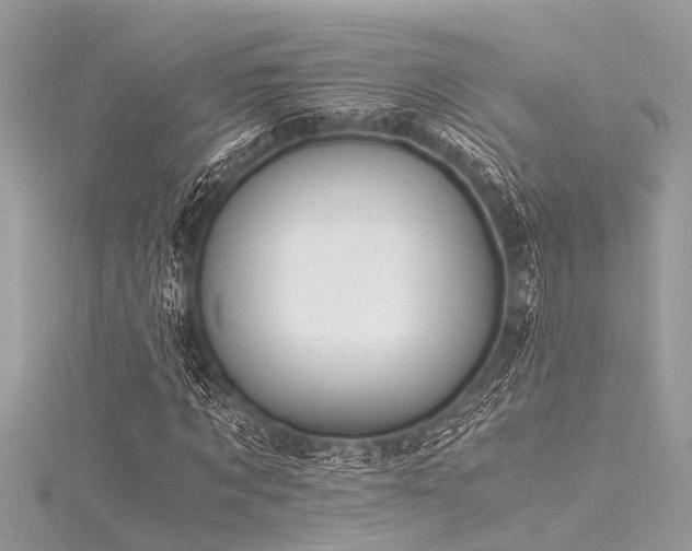 X0000116020869200911201232