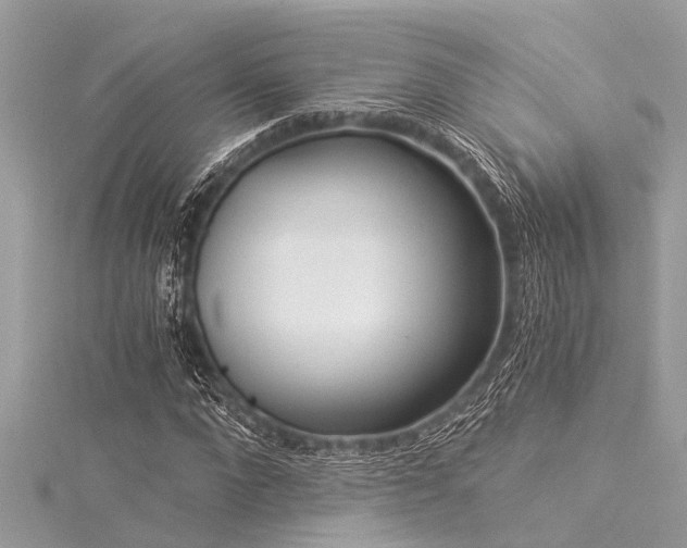 X0000116020872200911201232