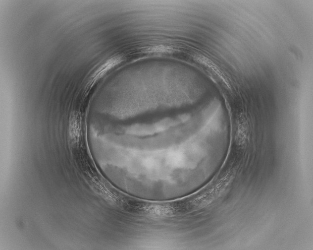 X0000116020874200911201232