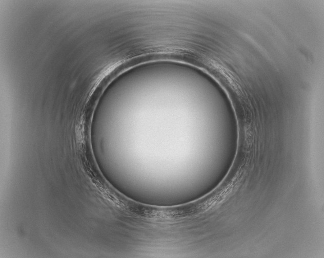 X0000116020875200911201232