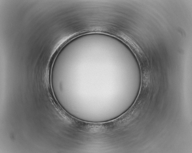 X0000116020886200911201232