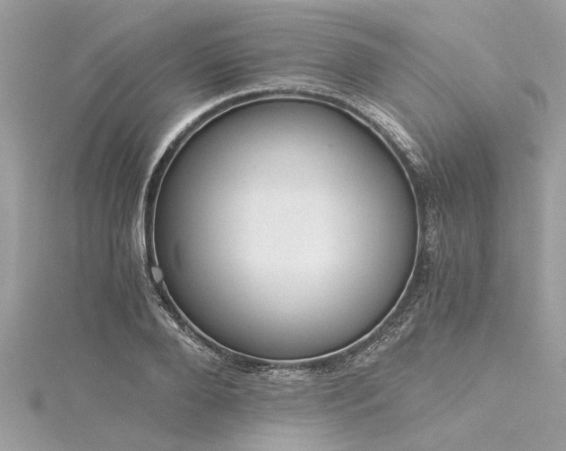 X0000116020888200911201232